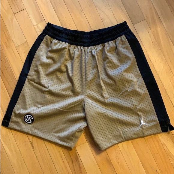 jordan brand swim trunks